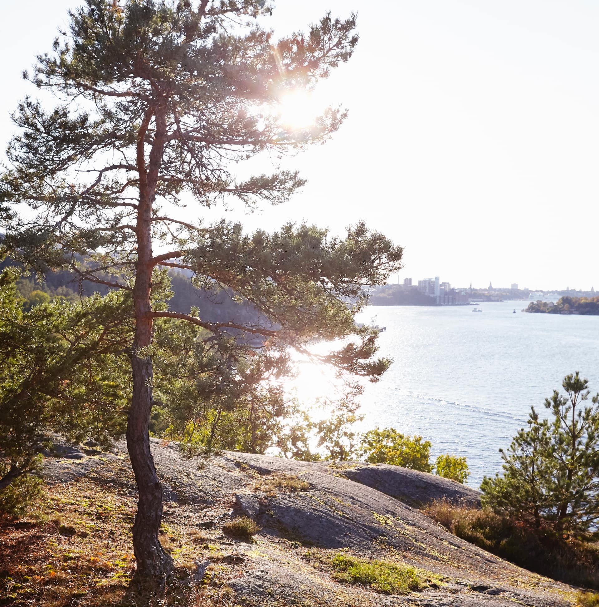 Proco services miljö och kvalitet